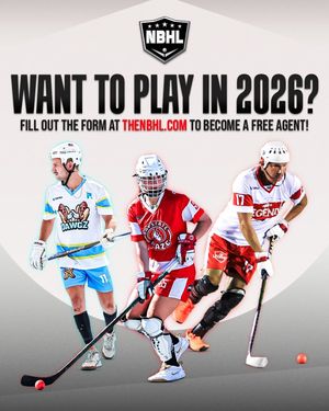 Image post by @nationalballhockeyleague on Instagram