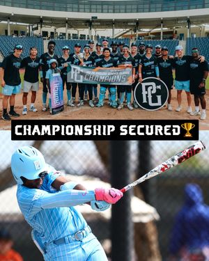 Image post by @demarini on Instagram