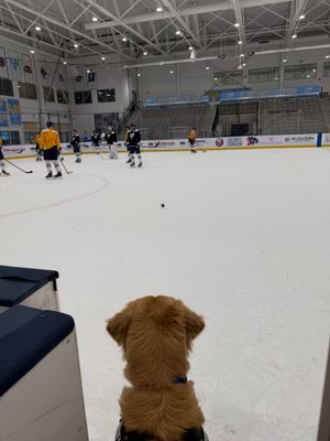 Image post by @liumhockey on Instagram