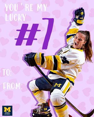 Image post by @umichwhockey on Instagram