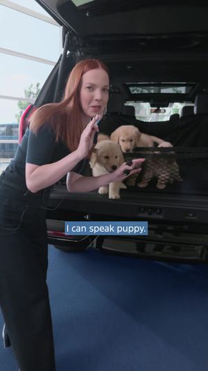 Video post by @ford on TikTok
