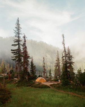 Image post by @fieldmag on Instagram