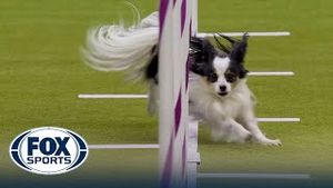 Video post by @foxsports on YouTube
