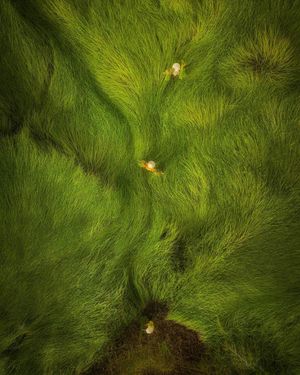 Image post by @droneartgallery on Instagram