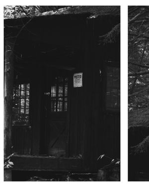 Image post by @photosbyhaven_ on Instagram