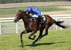 Image post by @godolphin on Instagram
