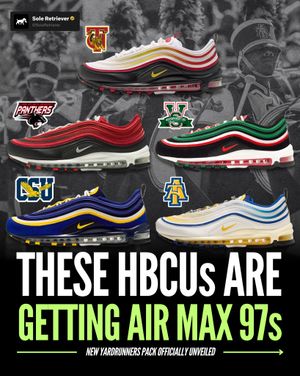 Image post by @soleretriever on Instagram