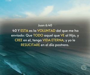 Video post by @lavinaorlandopca on Facebook