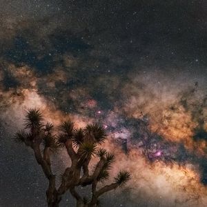 Image post by @nationalparkscollective on Instagram