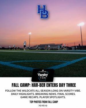 Image post by @varsityvibear on Instagram