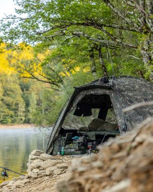 Image post by @brothercarp on Instagram