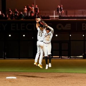 Image post by @saltlakebees on Instagram