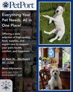 Image post by @northportchamberofcommerce on Instagram
