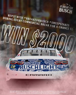 Image post by @BuschBeer on Twitter