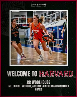 Image post by @harvardwbb on Instagram