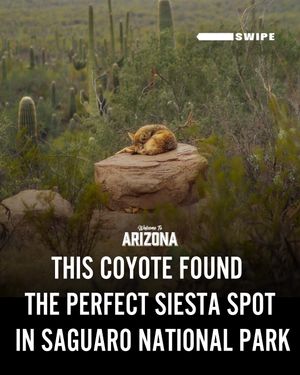 Image post by @welcometoarizona on Instagram