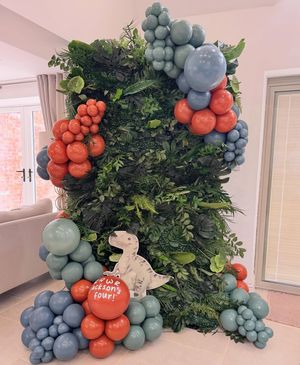Image post by @balloonoccasions on Instagram