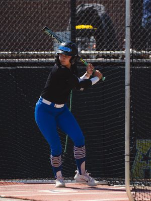 Image post by @MemphisSoftball on Twitter