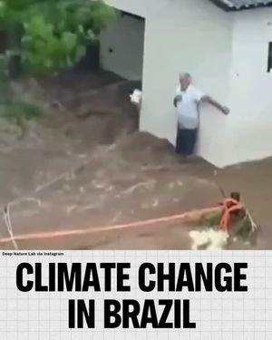 Image post by @greenpeace on Instagram