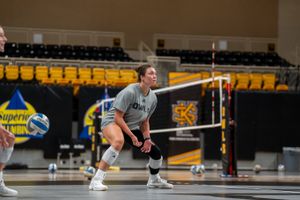 Image post by @ksuowlsvb on Instagram