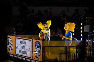 Image post by @PredsNHL on Twitter