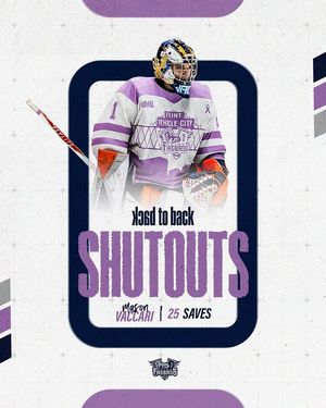Image post by @flintfirebirds on Instagram