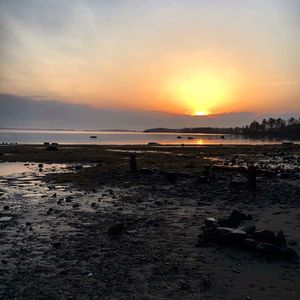 Image post by @themainemag on Instagram