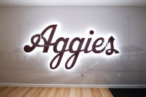 Image post by @aggiesoftball on Instagram