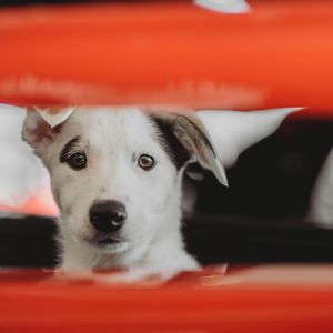 Image post by @mccarthychevroletgmc on Instagram