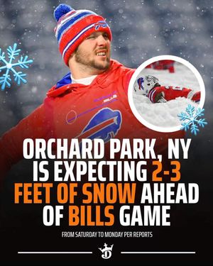 Image post by @BuiltInBuffalo_ on Twitter