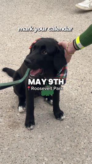 Video post by @raquel_escamilla on TikTok