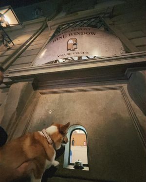 Image post by @ziggy_thecorg on Instagram