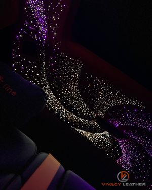 Image post by @vivacyleather on Instagram