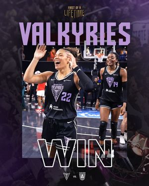 Image post by @valkyries on Instagram