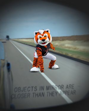Image post by @SleeperBengals on Twitter
