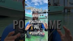 Video post by @jonasederfishing on YouTube