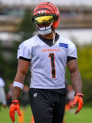 Image post by @bengals on Instagram