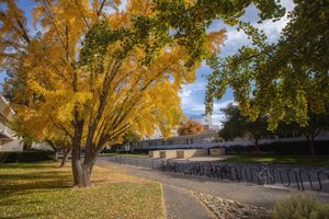 Image post by @sacstate on Instagram