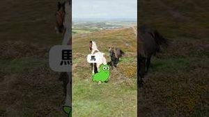 Video post by @duolingo on YouTube
