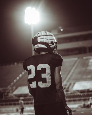 Image post by @uapblionsfb on Instagram
