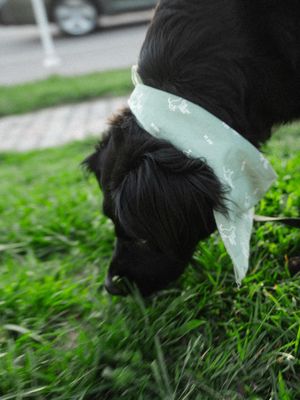 Image post by @stephenbroome_ on Instagram