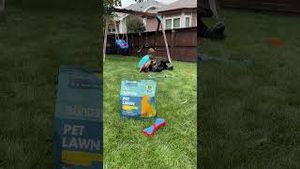Video post by @getsunday on YouTube