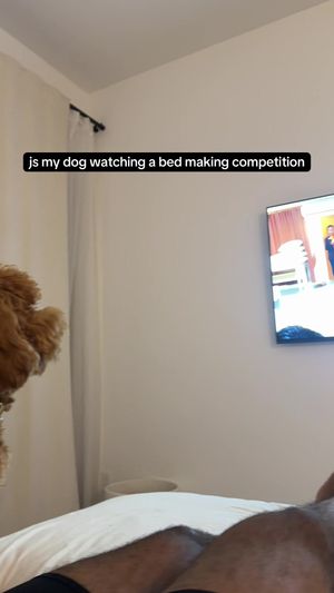Video post by @tedflixnchill on TikTok