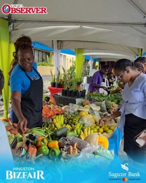 Image post by @jamaicaobserver on Instagram