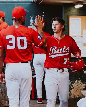 Image post by @louisvillebats on Instagram