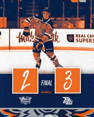 Image post by @flintfirebirds on Instagram