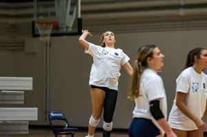 Image post by @nutimberwolves on Instagram