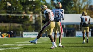 Image post by @elonfb on Instagram