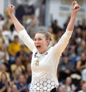 Image post by @georgiatech on Instagram