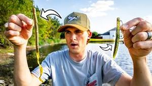 Video post by @tylersreelfishing on YouTube